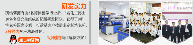 凱潔莉洗衣粉洗滌劑研發(fā)團(tuán)隊